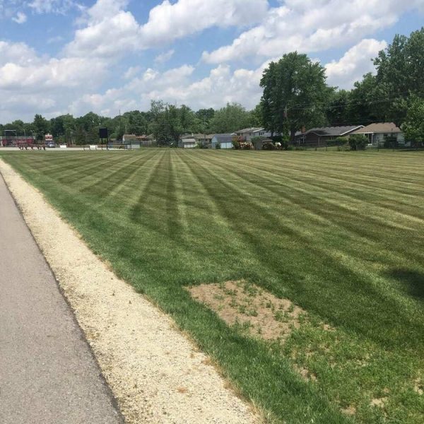 LANDSCAPE JGUDIEL 17