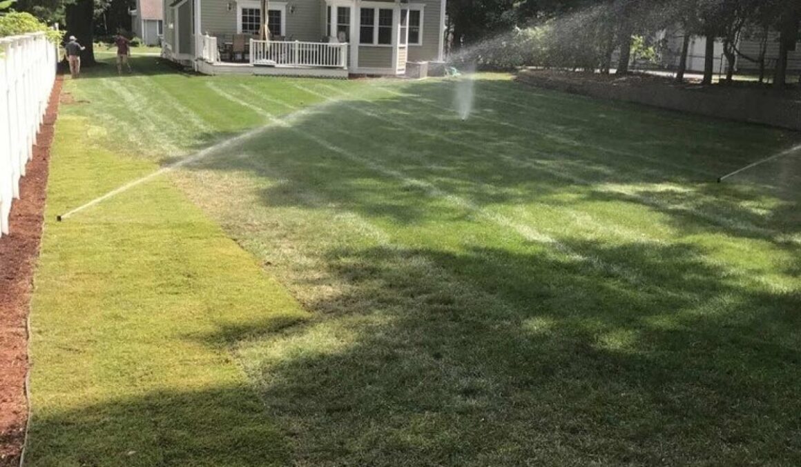 LANDSCAPE-JGUDIEL-6-relxe8omb2vr0lpw4wnxcp39ctkd2w77y5zdid8yu0