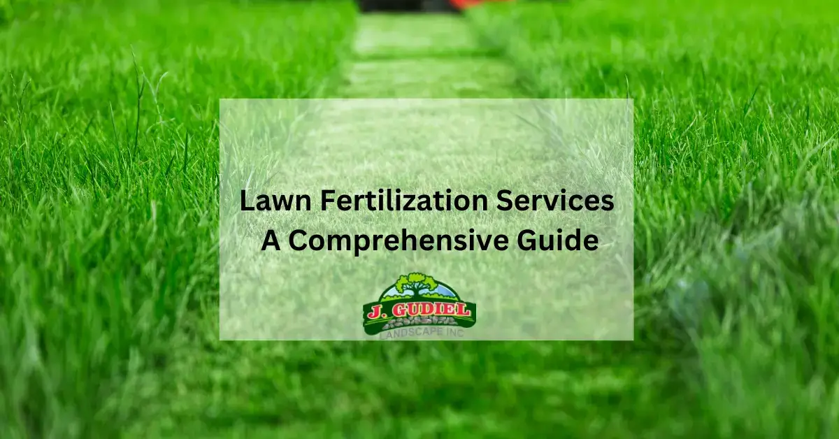 Lawn Fertilization Services A Comprehensive Guide