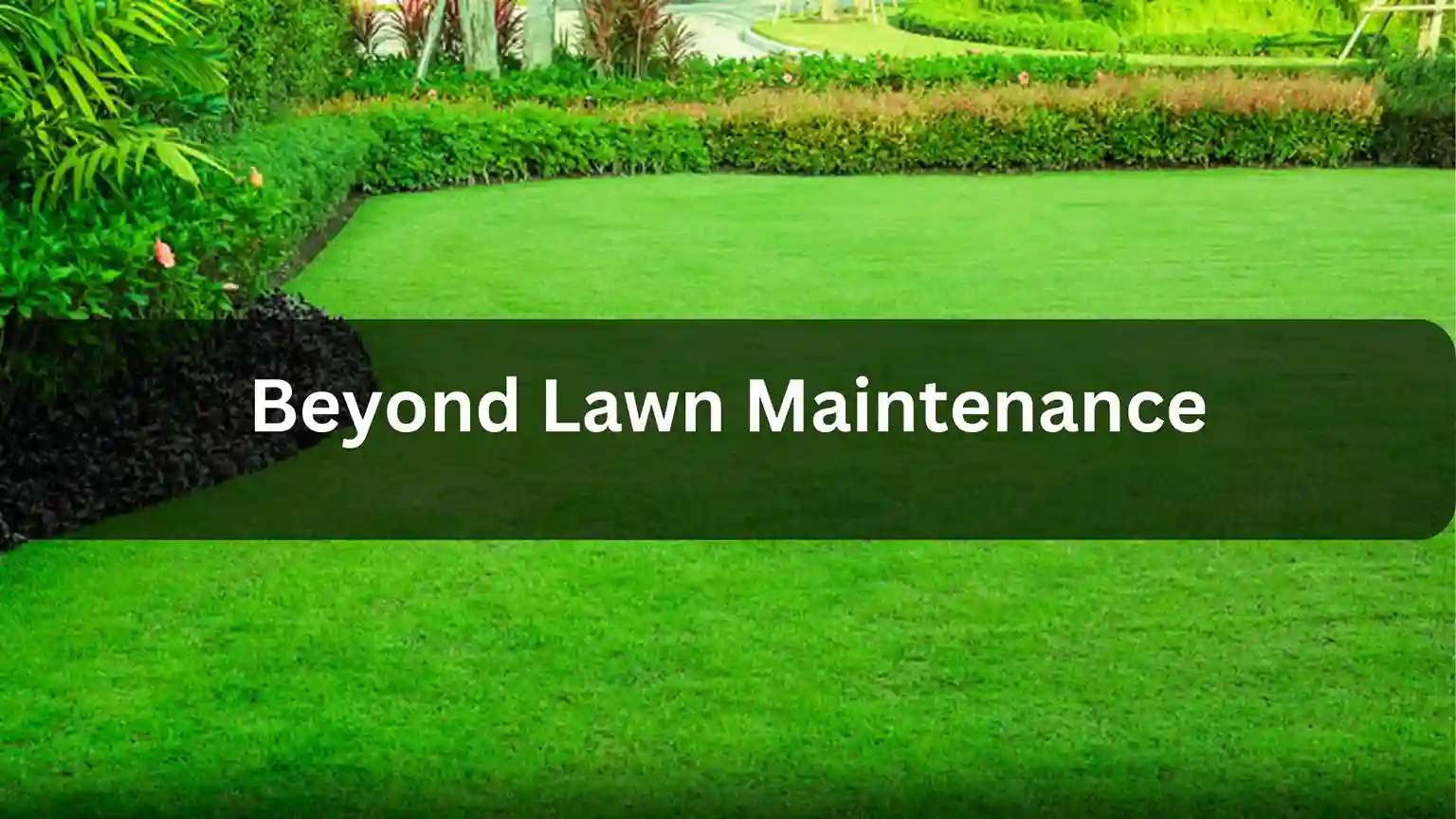 Lawn Maintenance and More That Goes the Extra Mile