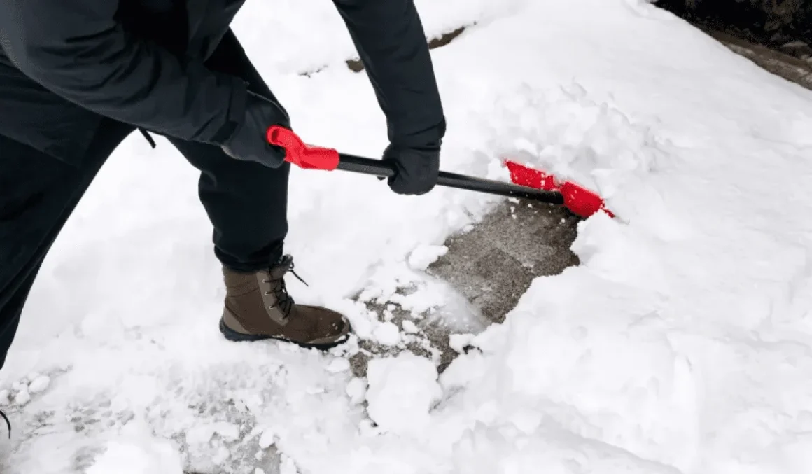 Snow-relxe8omb2vr0lpw4wnxcp39ctkd2w77y5zdid8yu0