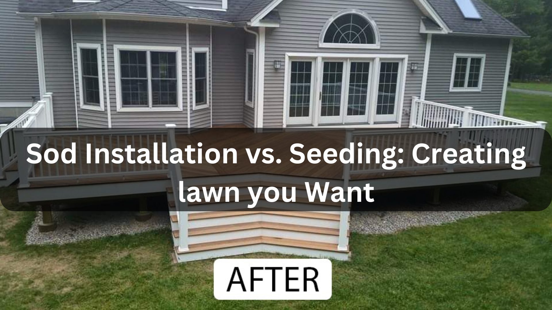 Sod Installation vs. Seeding How to create the Lawn you Want
