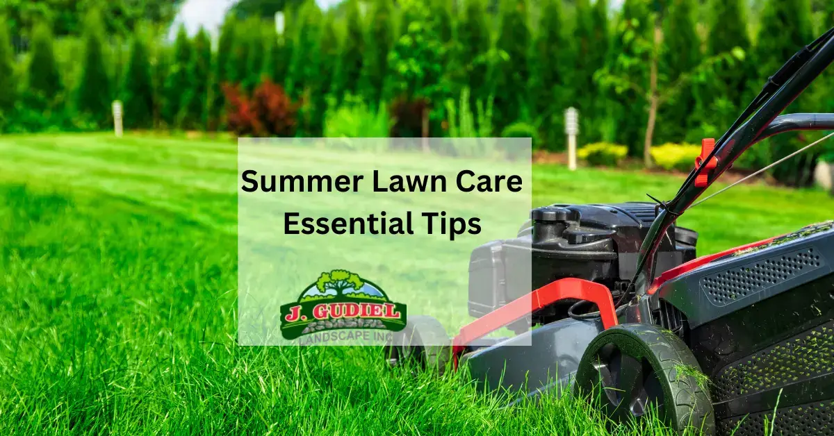 Summer Lawn Care Essential Tips 1