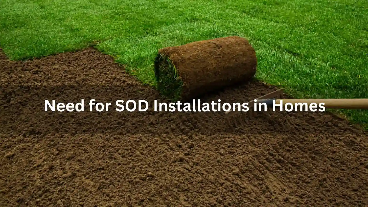 The Need for Sod Installation in Homes