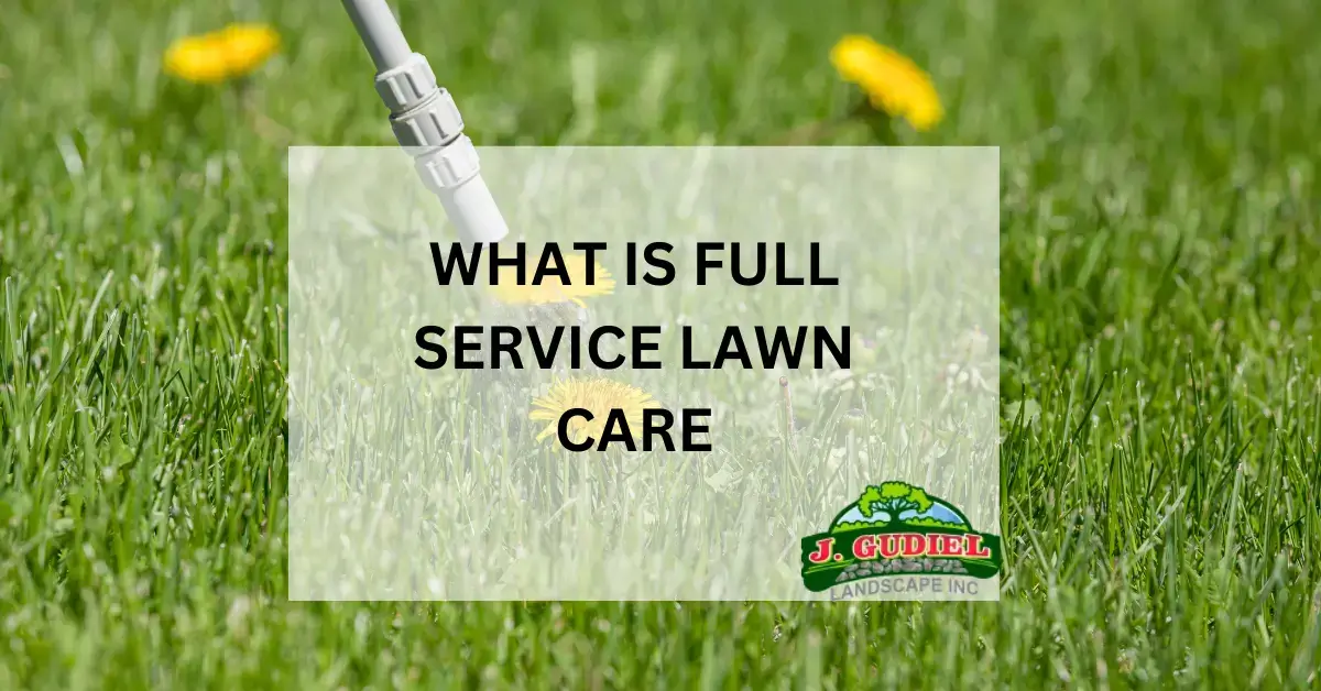 What is Full Service Lawn Care A Complete Guide