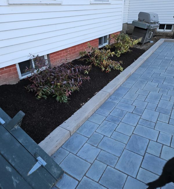 WhatsApp Image 2025 09 03 at 3.44.13 PM 4 relxe8oezy89vu52hu7flb458xrp4qsexkofr89zdw 1