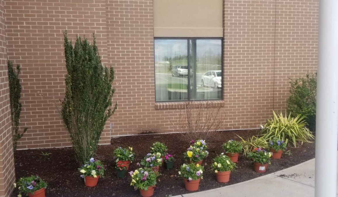 WhatsApp-Image-2025-09-14-at-1.59.11-AM-2-relxe5v3qkrw1rtzldg1n7svkny9fsw0xs0x2jd5co