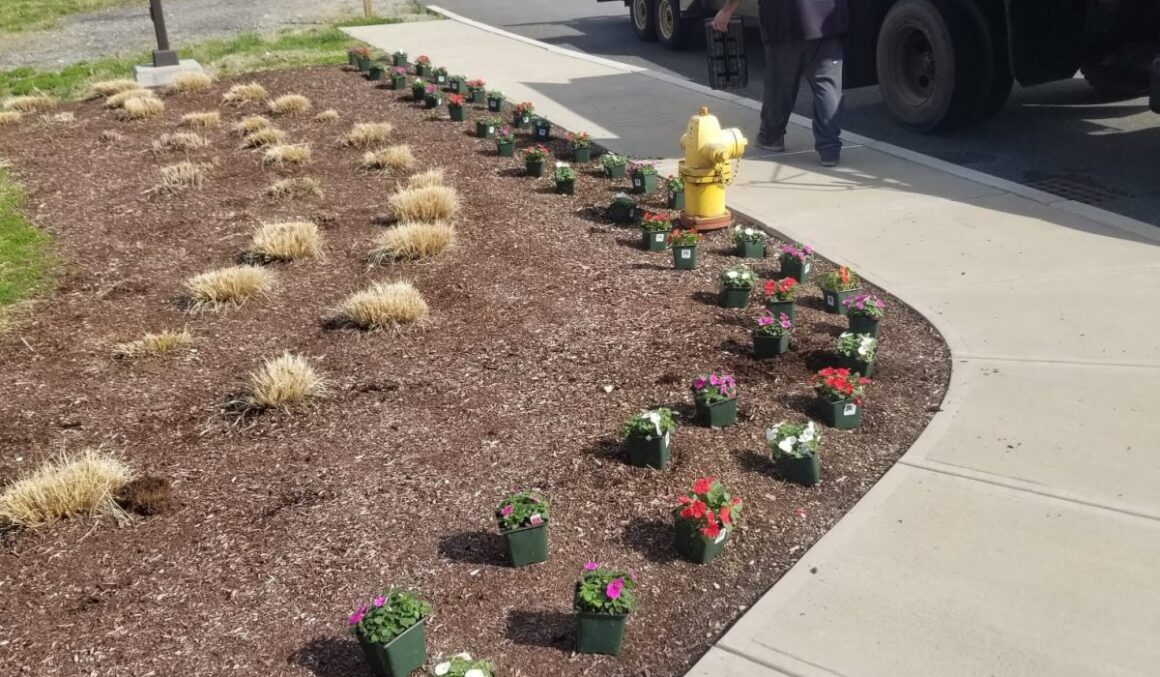 WhatsApp-Image-2025-09-14-at-1.59.11-AM-relxe6sxxet6ddsmfvuo7pkc61tmnhzr9woejtbr6g