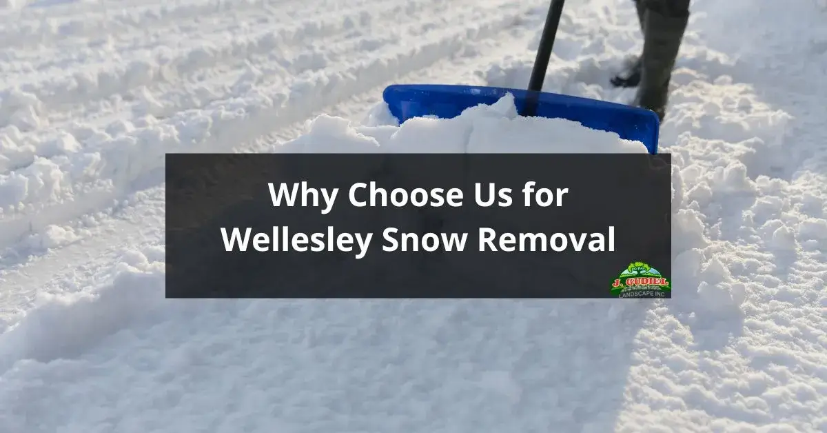 Why Choose Us for Wellesley Snow Removal 1