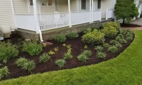 soil moisture 500x375