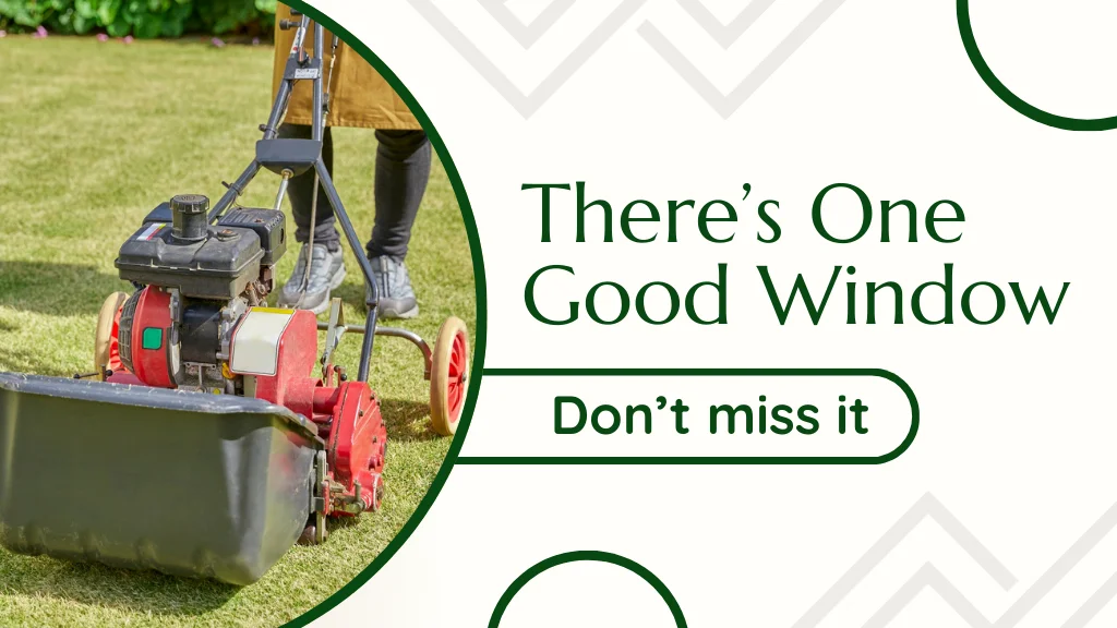 When to Aerate and Overseed Your Lawn in Massachusetts