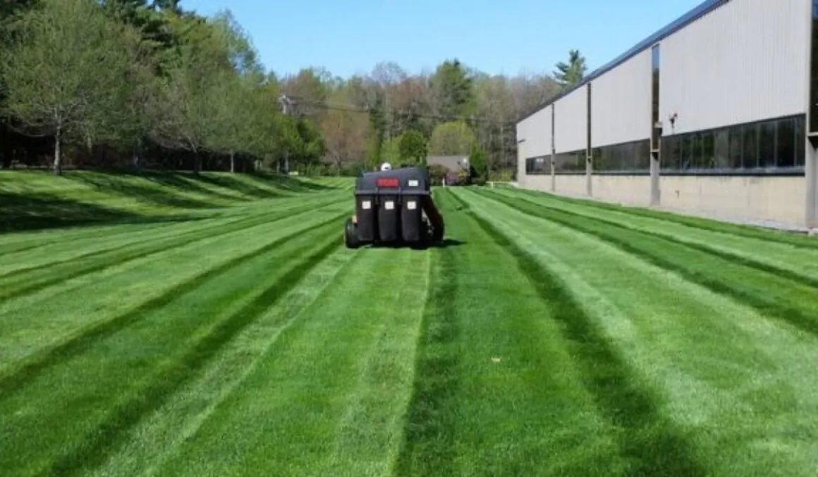 JGUDIEL HARDSCAPE 2 1 576x1024 1 relxe6sxxet6ddsmfvuo7pkc61tmnhzr9woejtbr6g 1160x677 1