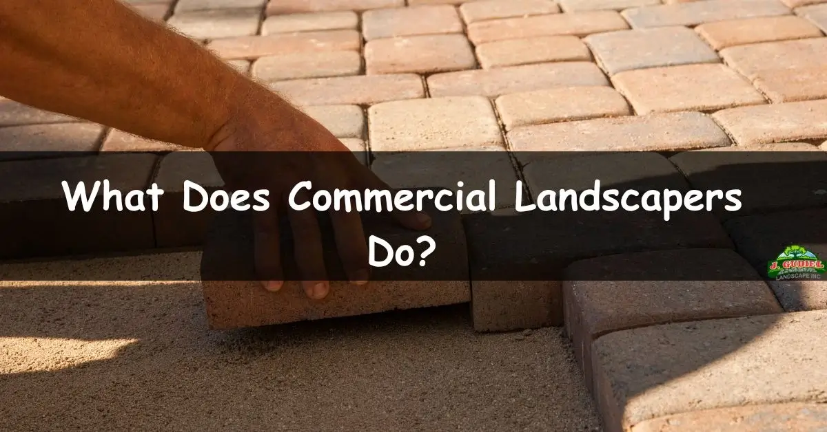 What Does Commercial Landscapers Do