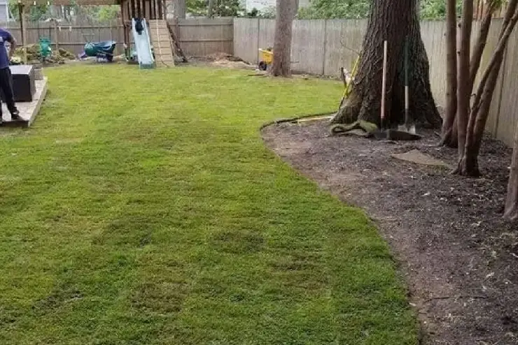 Landscaping & Lawn Care