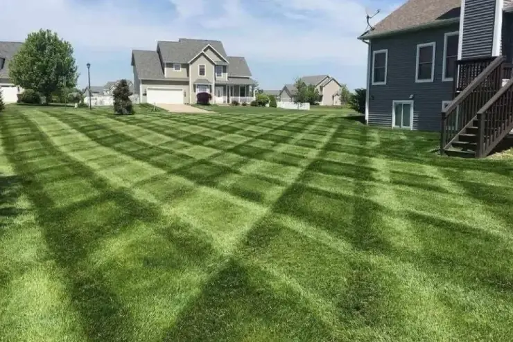 Landscaping & Lawn