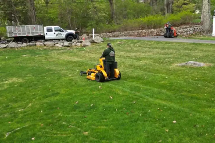 Landscaping & Lawn Care