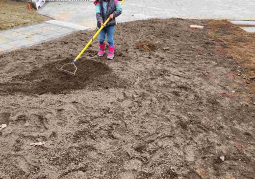 20230318_104939_Original-768x1024