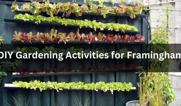 Advantages-of-14_11zon