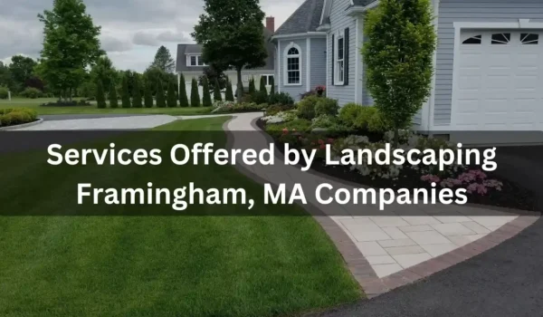 Advantages-of-3_11zon-1-1160x653