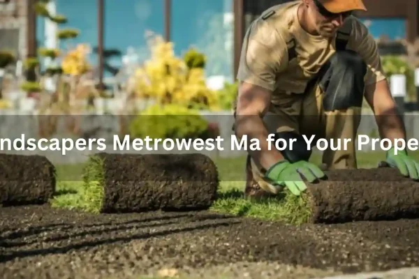 Advantages-of-3_11zon