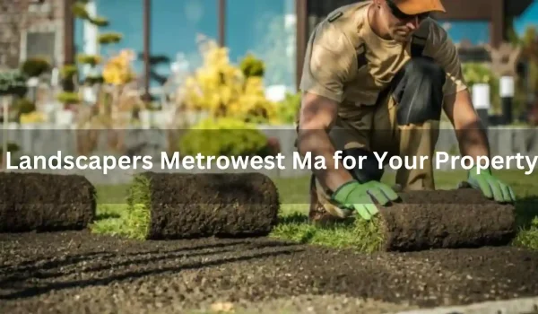 Advantages-of-3_11zon