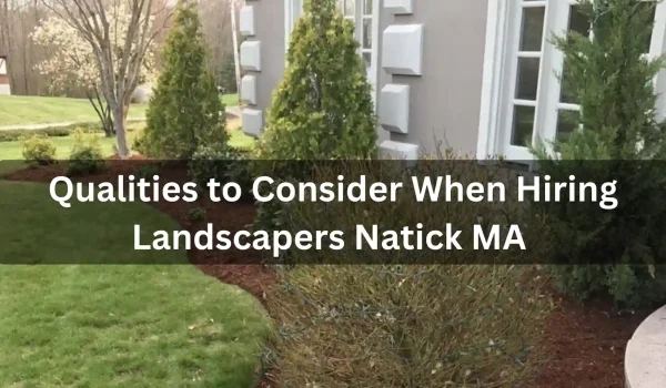 Advantages-of-5_11zon-1