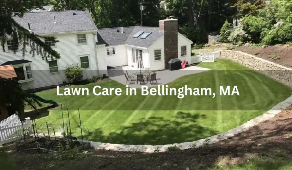 Advantages-of_11zon-1160x652