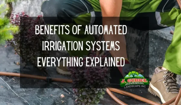 Benefits-Of-Automated-Irrigation-Systems-Everything-Explained-1160x607