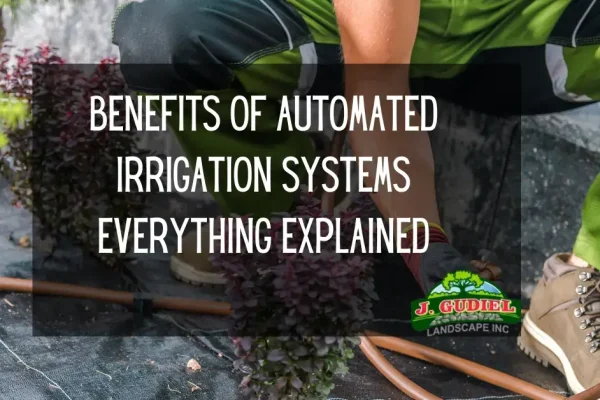 Benefits-Of-Automated-Irrigation-Systems-Everything-Explained