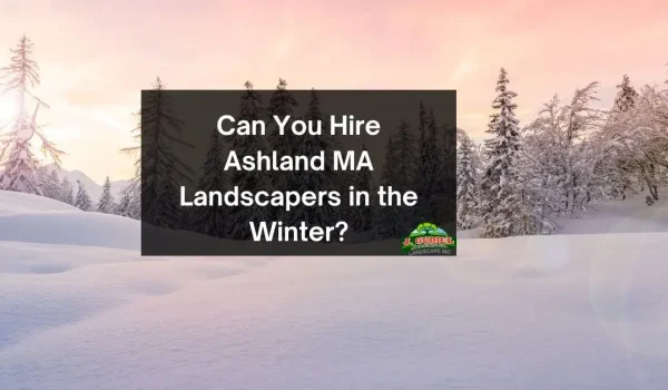 Can-You-Hire-Ashland-MA-Landscapers-in-the-Winter-1