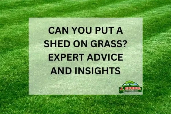 Can-You-Put-a-Shed-on-Grass_-Expert-Advice-and-Insights_11zon