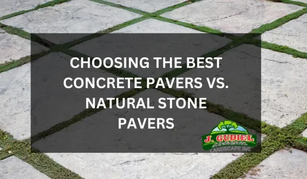Choosing-the-Best_-Concrete-Pavers-vs.-Natural-Stone-Pavers