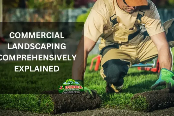 Commercial-Landscaping_-Comprehensively-Explained-1