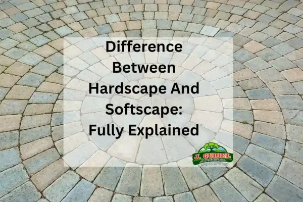 Difference-Between-Hardscape-And-Softscape_-Fully-Explained_11zon