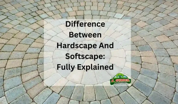 Difference-Between-Hardscape-And-Softscape_-Fully-Explained_11zon
