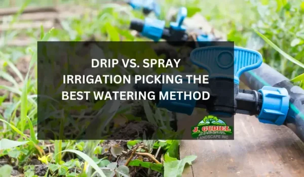 Drip-vs-Spray-Irrigation_-Picking-the-Best-Watering-Method-1160x607