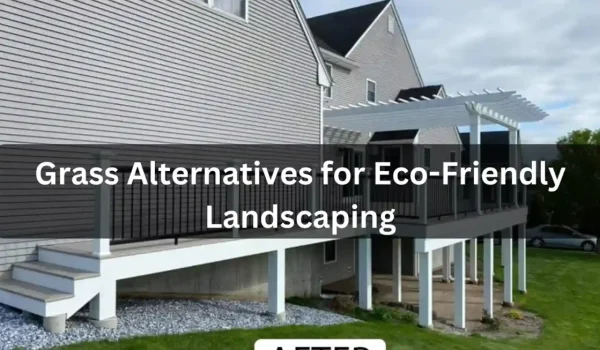 Framingham-Landscape-Specialist-Grass-Alternatives-for-Eco-Friendly-Landscaping-1160x653