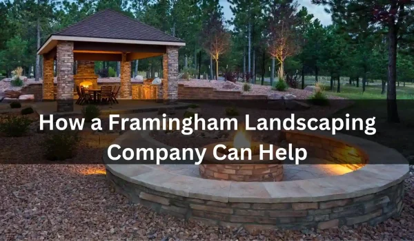 How-a-Framingham-Landscaping-Company-Can-Help-You-Choose-Trees-and-Plants-as-Per-Soil-Type