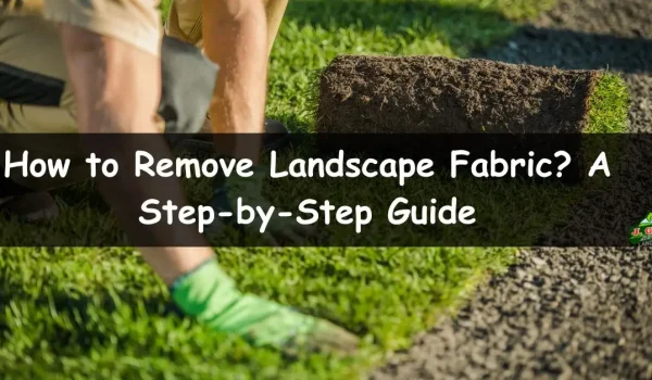 How-to-Remove-Landscape-Fabric_-A-Step-by-Step-Guide