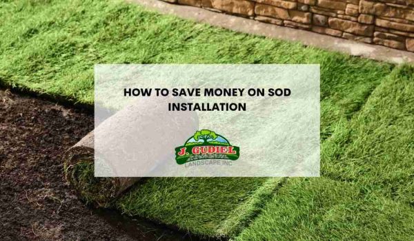 HowtoSaveMoneyonSodInstallation1_11zon