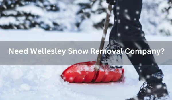 In-Need-of-a-Good-Wellesley-Snow-Removal-Company