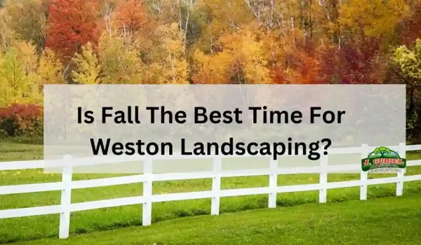 Is-Fall-The-Best-Time-For-Weston-Landscaping-1_11zon