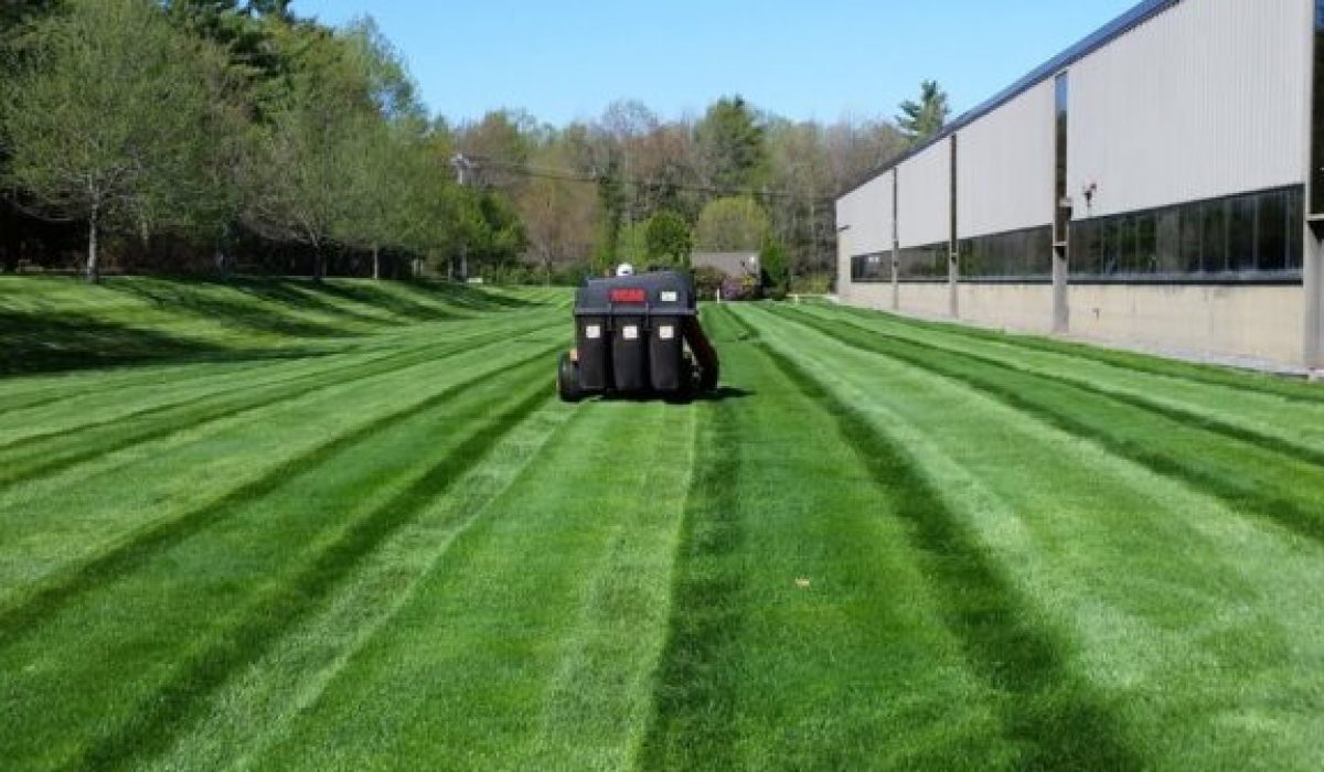 JGUDIEL-HARDSCAPE_2-1-576x1024