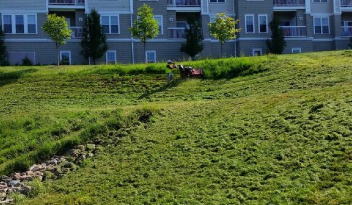 JGUDIEL-HARDSCAPE_9-1-576x1024