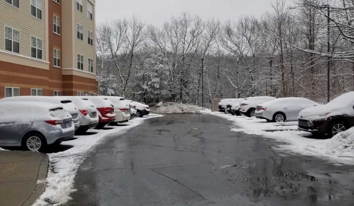 JGUDIEL-SNOW-MANAGEMENT_6 (1)