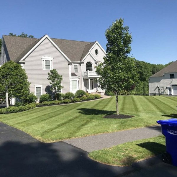 LANDSCAPE-JGUDIEL-16-1