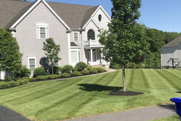 LANDSCAPE-JGUDIEL-16-relxe8omb2vr0lpw4wnxcp39ctkd2w77y5zdid8yu0