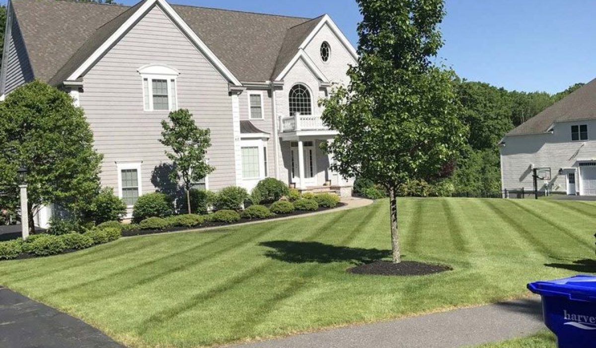 LANDSCAPE-JGUDIEL-16