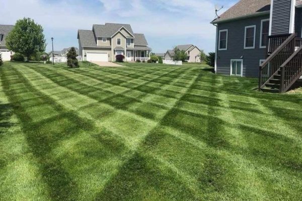 LANDSCAPE-JGUDIEL-3-relxe5v3qkrw1rtzldg1n7svkny9fsw0xs0x2jd5co