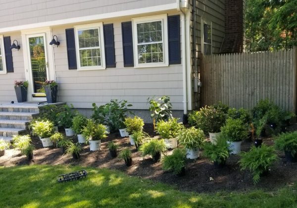 LANDSCAPE-JGUDIEL-8 (1)